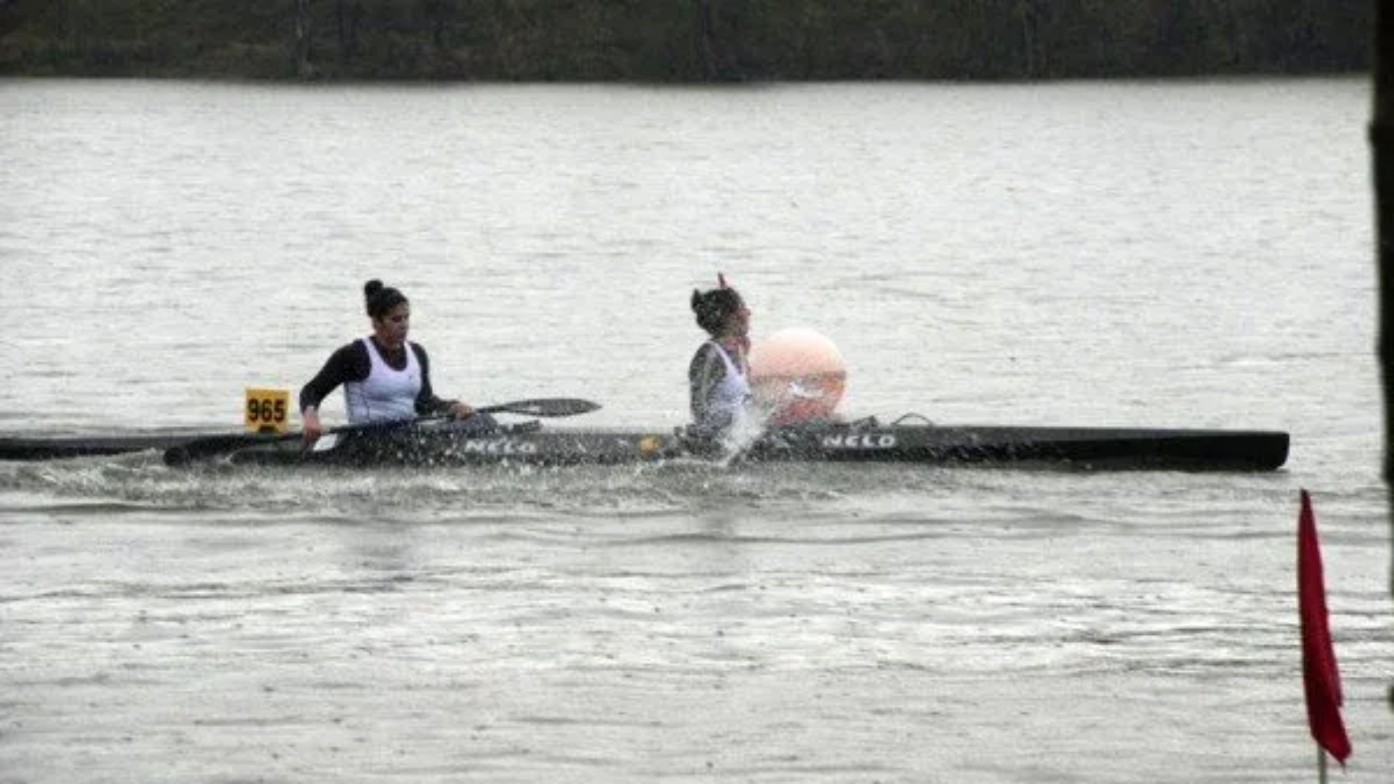 regata fundo Zamora